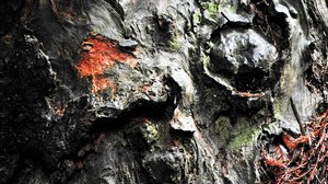 End of the Year Musing