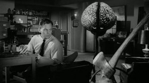 The Myth of the Split Brain The Myth of the Split Brain