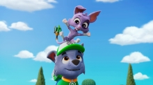 Nickelodeon Debuts ‘PAW Patrol’ Special
